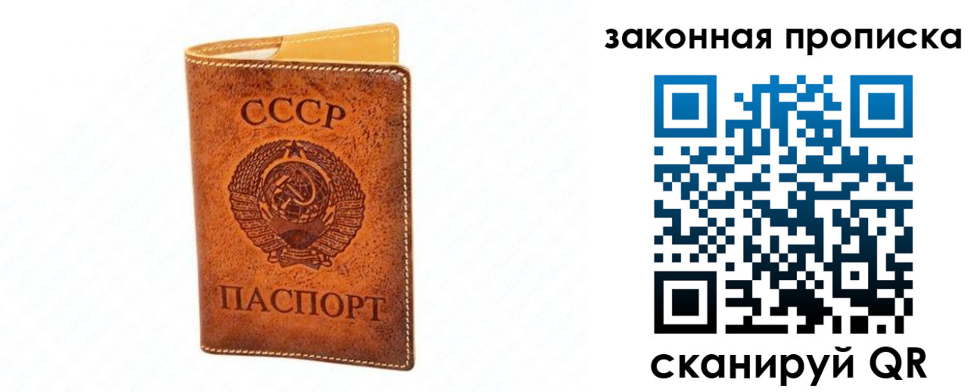 прописка в Кувшиново